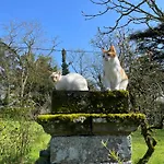 Apartament Chateau Dore Les Tours - Loup - Proche Puy Du Fou Montfaucon-Montigne