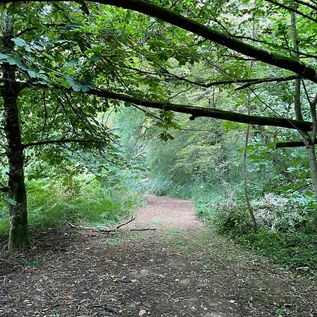 Apartmán Chateau Dore Les Tours - Loup - Proche Puy Du Fou Montfaucon-Montigne