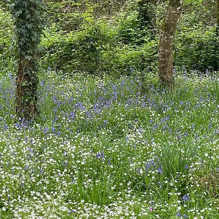Chateau Dore Les Tours - Loup - Proche Puy Du Fou