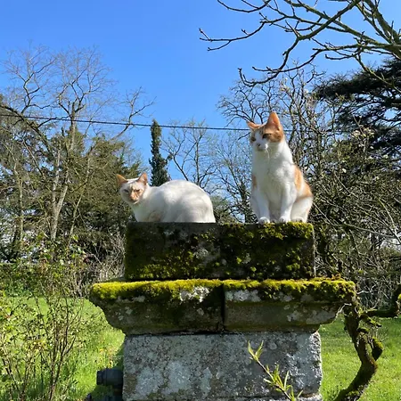 Apartmán Chateau Dore Les Tours - Loup - Proche Puy Du Fou Montfaucon-Montigne
