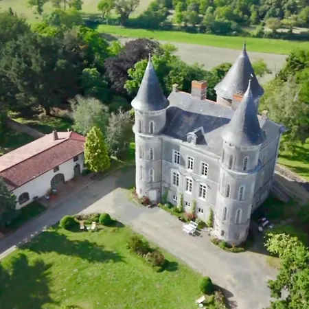 Chateau Dore Les Tours - Loup - Proche Puy Du Fou Montfaucon-Montigne